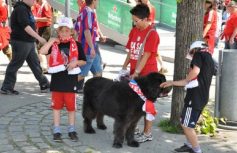 a649c3d2b038ffd94f6d703b3ae7a989e7e