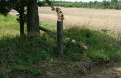 0bd1e8289f8759f7ce549874aae6ffad2c2