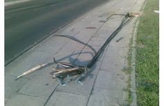 24306da73d33b4083f708ebd18523ccad68