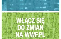 6a1d1719464960273194f461b7302f341cd