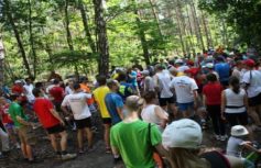 0c1d371e5190986db935482937491fa913a