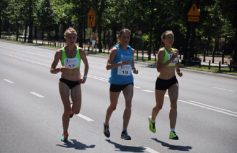 944d42d1c3324359fad88d5857f8738ddfc