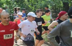 ce6684a9a66eeea440b47a661fd39563ca2