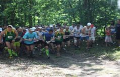 ee2c9d2dd1e272a6c40c0c8970e42b06df2