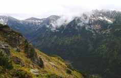 23e8dc209821204d62661eede17aef6fdde