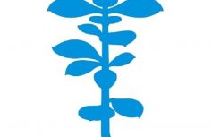 57288e96642692300a5d8e9cb44b6e8122f