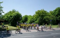 746cad377c687bf2302821db06a2a1e9924