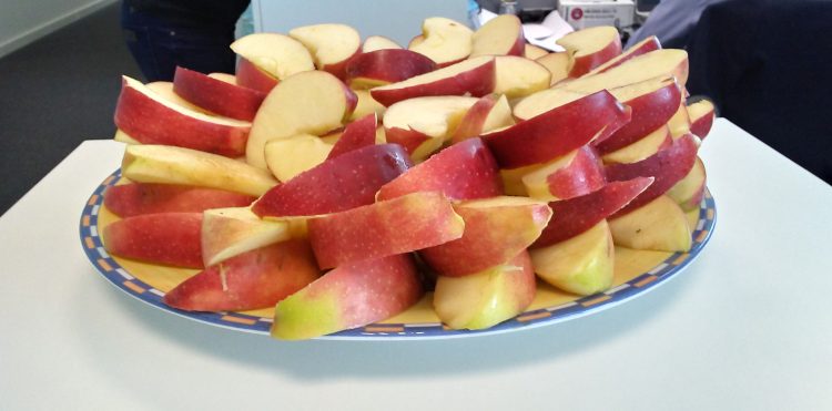 Przykładowe zdjęcie wykonane głównym aparatem LG K4 2017. (Po kliknięciu wyświetli się oryginał).