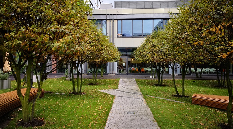 Zdjęcie wykonane Huawei Mate 10 Pro