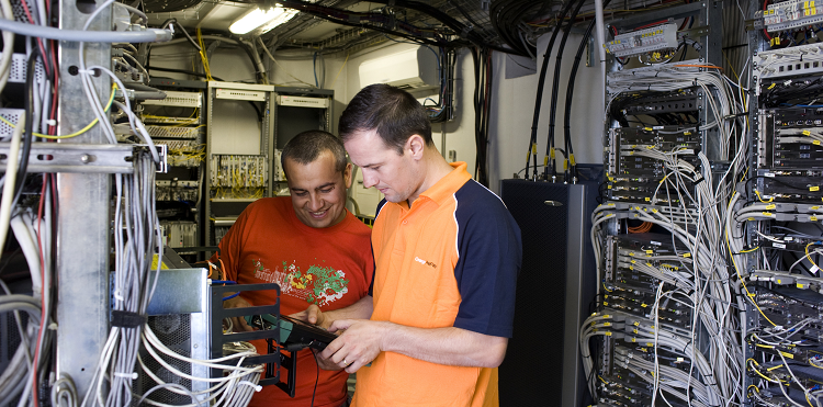 Układ nerwowy sieci czyli, sieć synchronizacyjna