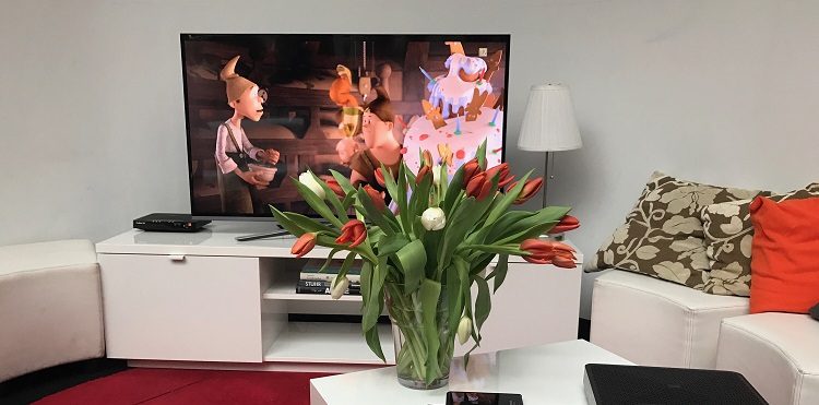 Kanały tematyczne Polsatu dostępne w Orange TV