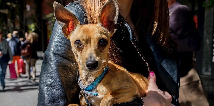 Orange One z pakietem GB za doładowanie