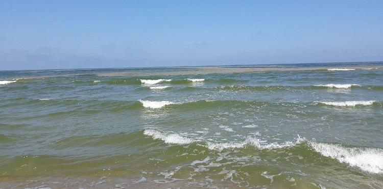 Sinice nakręciły wakacyjny ruch w sieci. Przypadek? Nie sądzę.