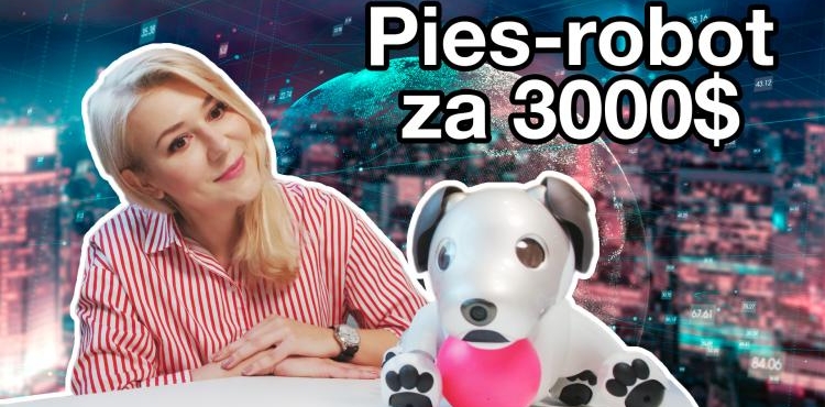 Pies – robot, czyli sztuczna inteligencja zwierząt