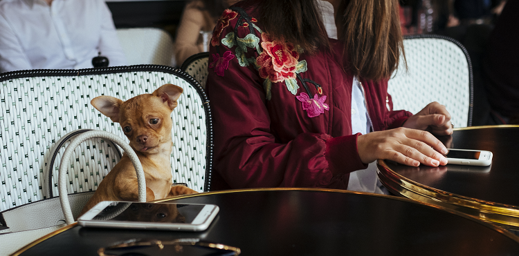 Elastyczne pakiety internetowe w Orange na kartę