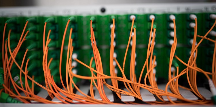 Szafa światłowodowa - grafika ilustracyjna 