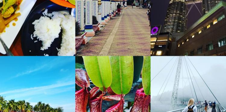 Telefon na wakacje: Motorola Moto G7 Power (2)