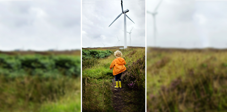 Czysta Energia od Orange ze stałymi cenami za prąd do końca 2021 r