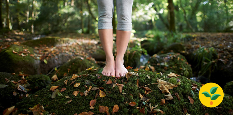 Neutralność klimatyczna celem świata i Orange