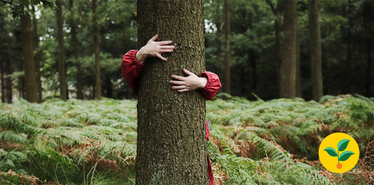 Dlaczego operator telekomunikacyjny chce być zielony?