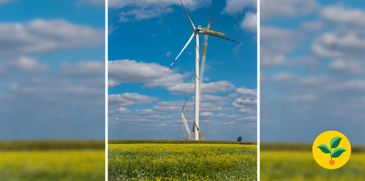 Jak odnawialne źródła energii pomagają być zielonym operatorem