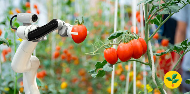 Technologie pomagają miastom być bardziej zielonymi