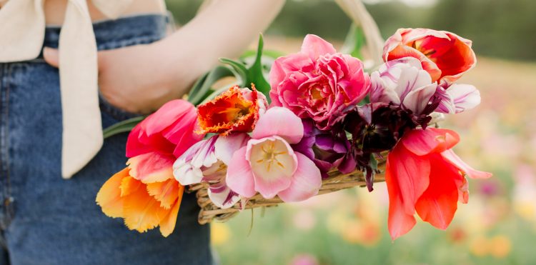 5 GB i darmowe rozmowy na „Pierwszy Dzień Wiosny” w Orange na kartę