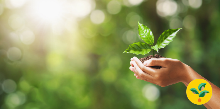 Umowa bez papieru oszczędza drzewa