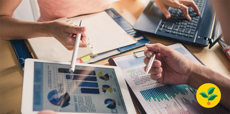 Eko-język, czyli jak zrozumieć kluczowe pojęcia