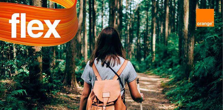 Użytkownicy Orange Flex przekazali w akcji EKO GB aż 300 000 GB! Sadzenie lasu już w połowie kwietnia