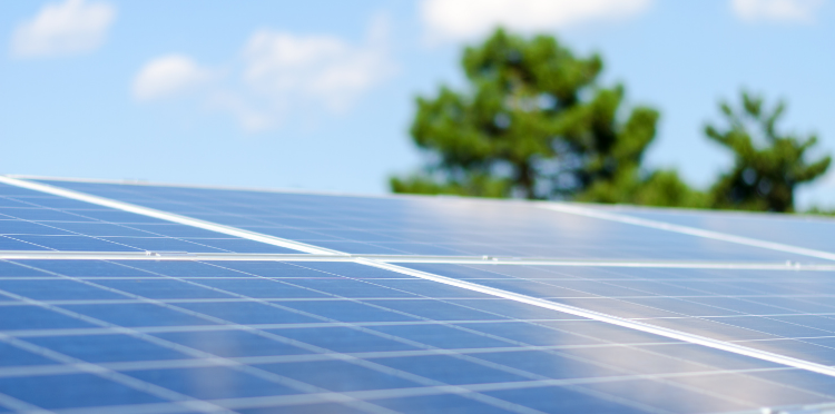 Fotowoltaika produkuje energię i… chroni przed deszczem