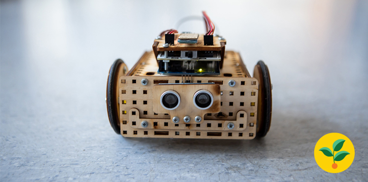 Jak łączyć naukę programowania z ekologią