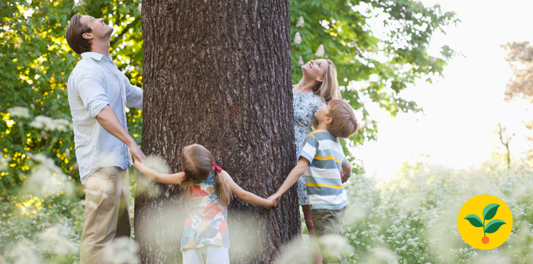 Rusza Zielony Tydzień z Orange