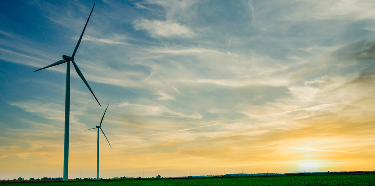 Orange Flex pierwszą w Polsce usługą telekomunikacyjną neutralną dla klimatu