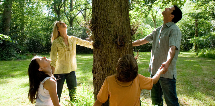 Zielony Tydzień z Orange – zaczynamy!