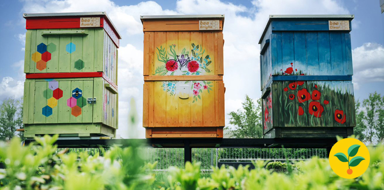 Ile waży ul i gdzie jest królowa?