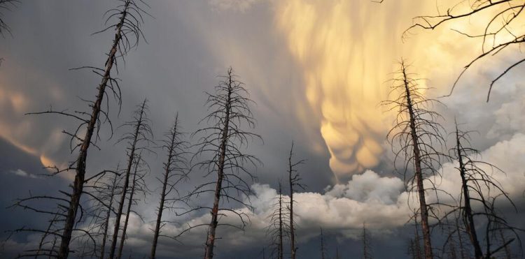 Walczymy o planetę i 1,5 stopnia