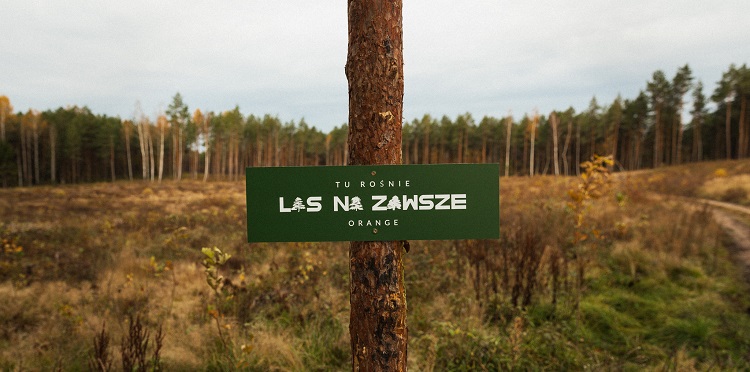 Posadziliśmy las w Szostakach