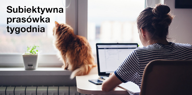 Najbogatszy YouTuber i kevlarowa bateria