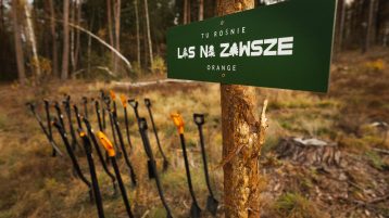 Posadziliśmy las w Szostakach