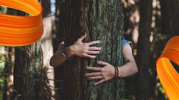 EKO GB w Orange Flex - przekazuj, kiedy chcesz i posadź z nami las!