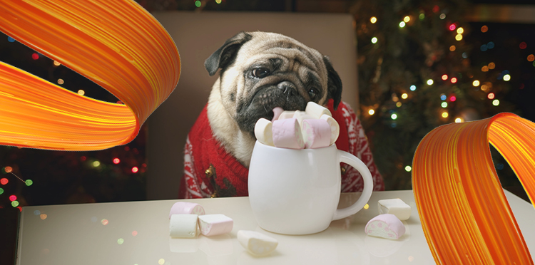 Grzeczny czy nie, odbierz prezent w Orange Flex