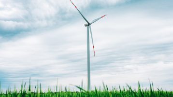 Orange Polska na półmetku realizacji celów klimatycznych na 2025 r. – powstanie kolejna farma wiatrowa na potrzeby operatora