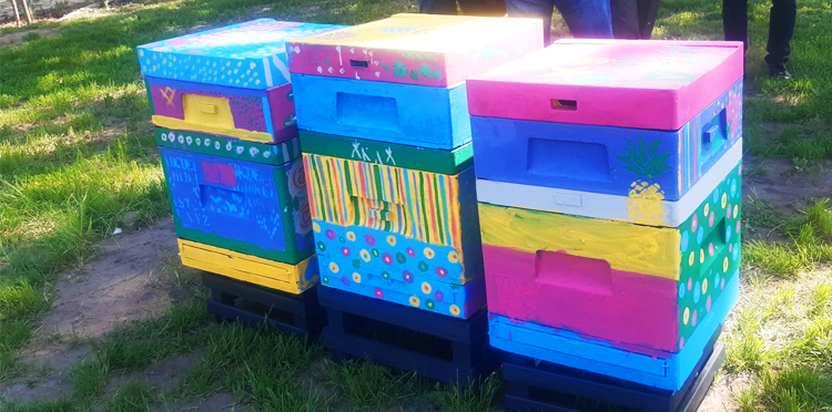 Mamy drugą pasiekę!