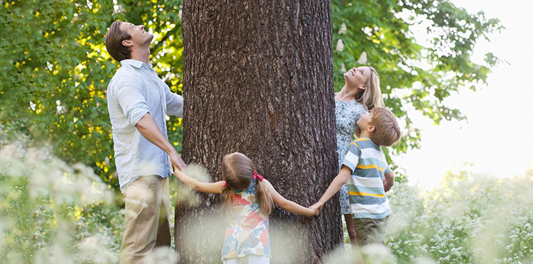 Zielony Tydzień z Orange